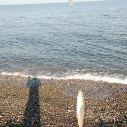 ちょい投げキス