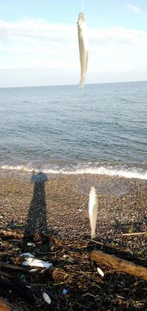 ちょい投げキス