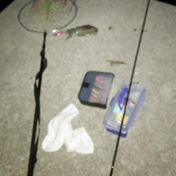 上げ潮で夏イカ狙い