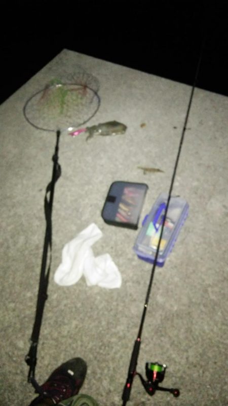 上げ潮で夏イカ狙い