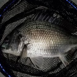 ガレ場のボトムで