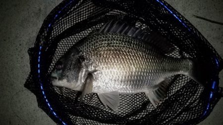 ガレ場のボトムで