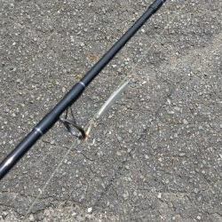 今日もダイソー