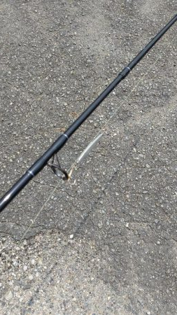 今日もダイソー