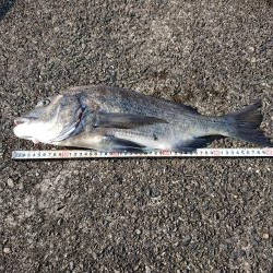 ついに年無しｹﾞﾄ