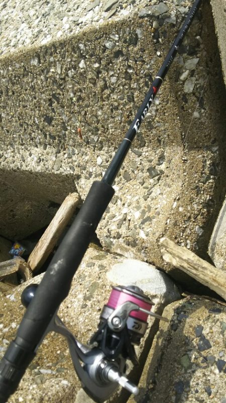 【汐入川河口】キス調査