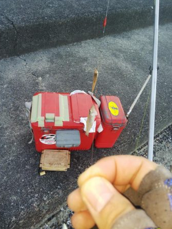 少しだけキス釣り