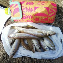 今日は良い日「大塩海岸」