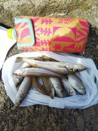 今日は良い日「大塩海岸」