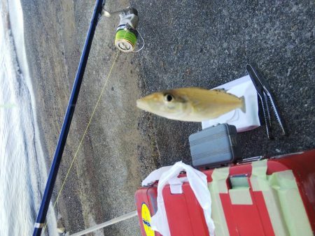 大塩海岸でキス釣り