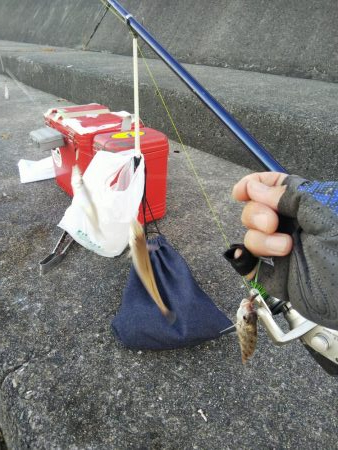 大塩海岸キス釣り