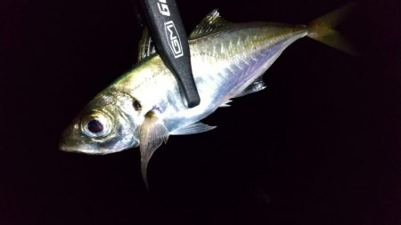 自作フロートでなんちゃって電気ウキ仕掛け