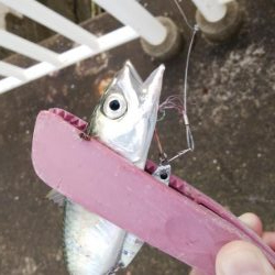 メクリアジ　リベンジ