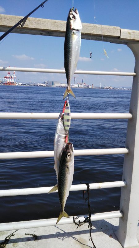 ぶらコスモ！！