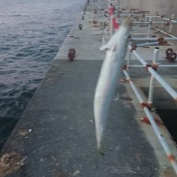 キロアップに10g足りず