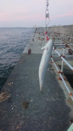 キロアップに10g足りず