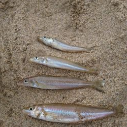 こんな日もあんだな 2