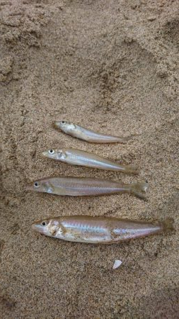 こんな日もあんだな 2