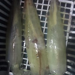 やる気スイッチどこ～？