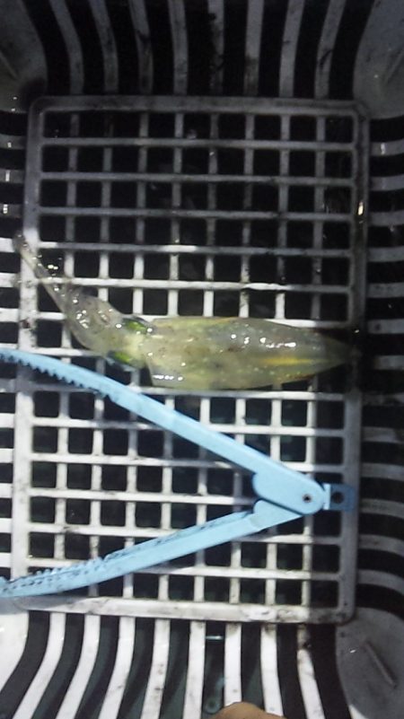 いつまで続くのこの渋さ