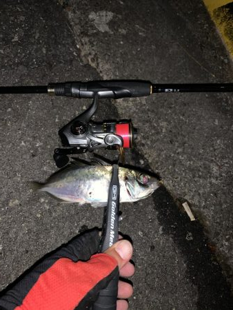 連チャンアジング