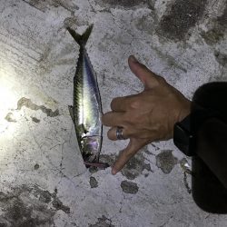 8月7日神戸空港