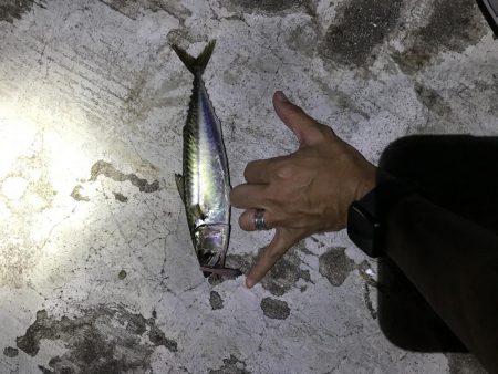 8月7日神戸空港