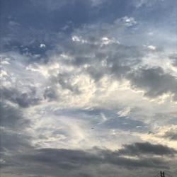 久しぶりの無風