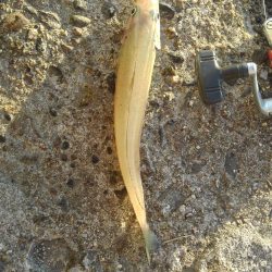 暑くなる前に・・?