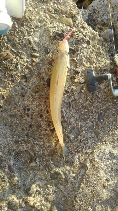 暑くなる前に・・?