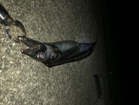 マヅメのワンチャンス