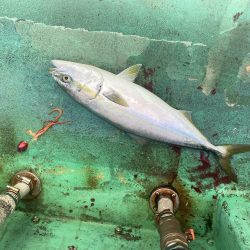 ポイントがちがいますよ