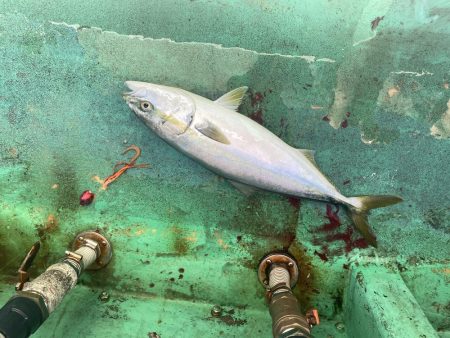 ポイントがちがいますよ