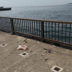 ファミリーフィッシング