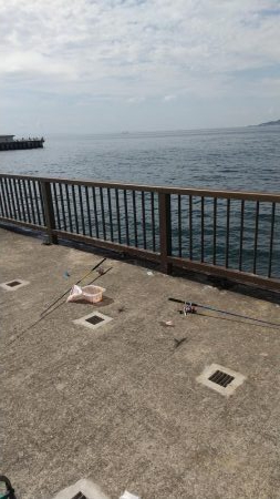 ファミリーフィッシング