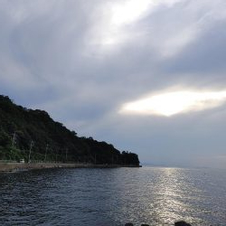 夏いかエギング