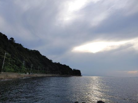 夏いかエギング