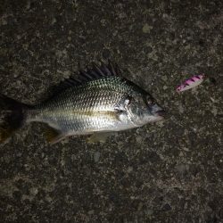 スプーン万能(?)