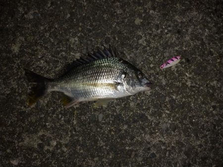 スプーン万能（？）