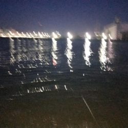 フカセ釣り、あたり少ない、、、