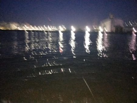 フカセ釣り、あたり少ない、、、