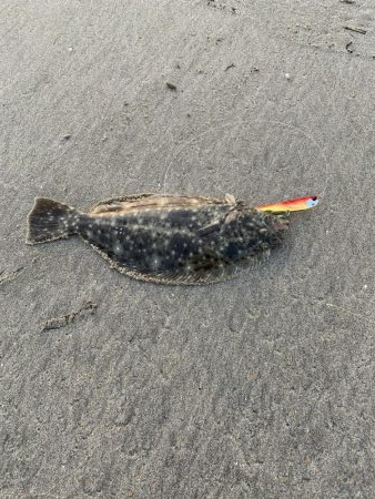 サーフでヒラメ