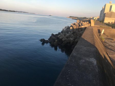 コサバ35匹、イワシ3匹