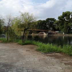 子供と夕涼みへ！