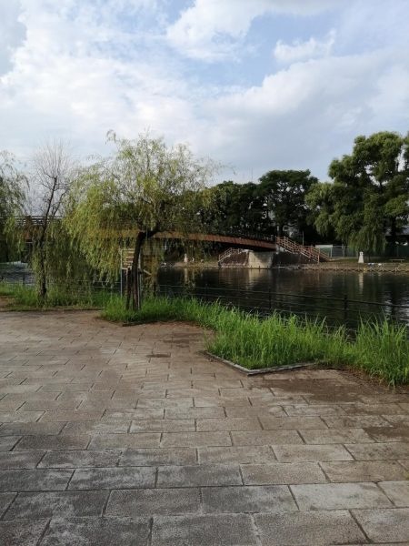 子供と夕涼みへ！