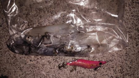 海洋調査パート2