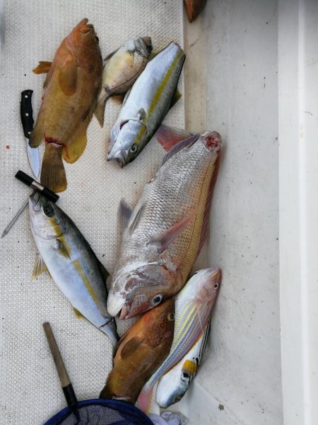 激渋の中、何とか良型マダイ!!