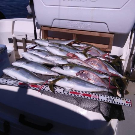 遊漁船SOUTH8/12釣果