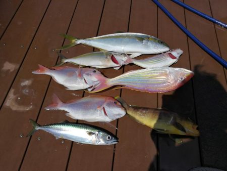 どうした日本海。。