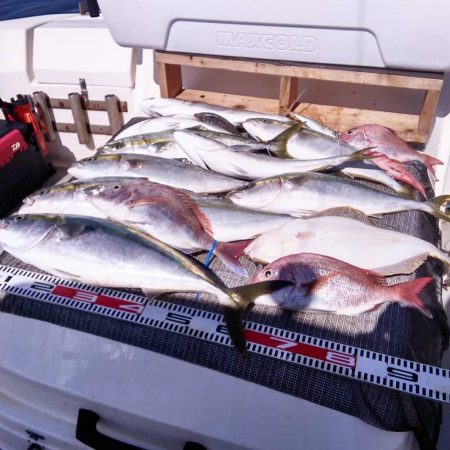 遊漁船SOUTH8/13釣果